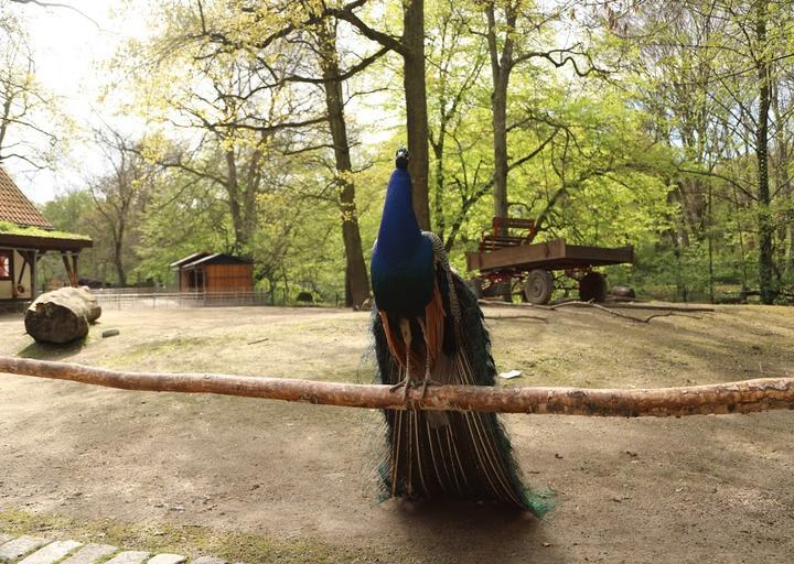 Kaisergarten